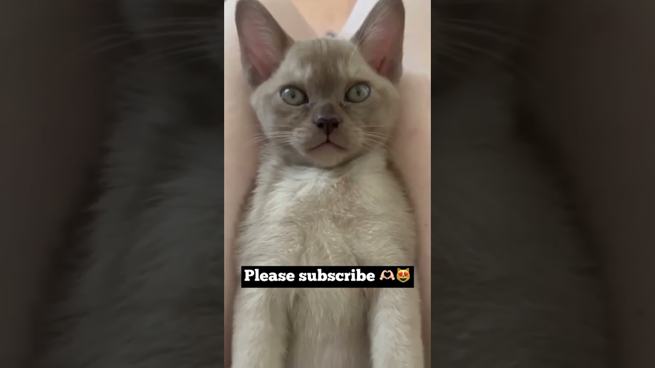 Please don’t scroll ❤️🙏🏻