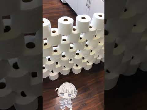 Banchoの応援でこの猫はトイレットぺーパー7段重ねを跳べるでしょうか？ #轟はじめ #bancho #番長 #ホロライブ #hololive