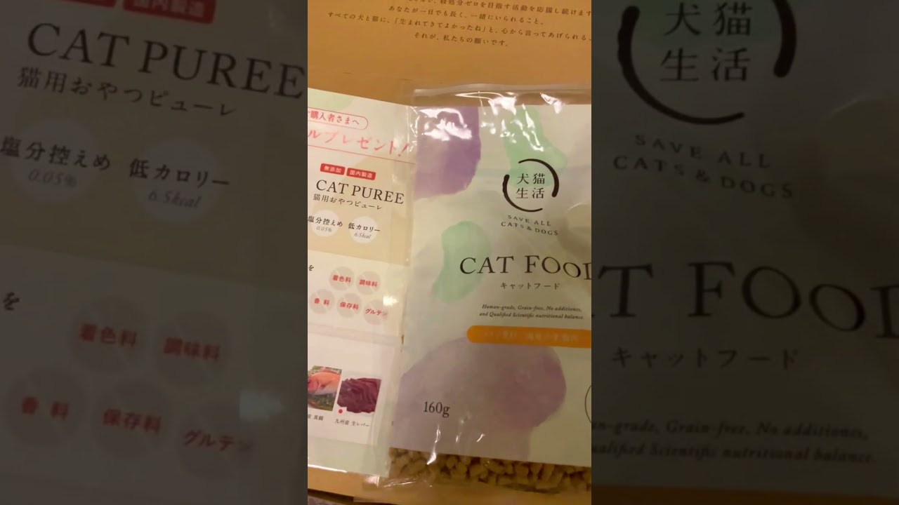 キャットフード試食中の猫さりり【Cat trying trial food】 #shorts  #キャットフード #試食