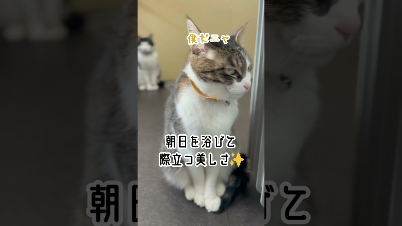 暖まり中　warming up