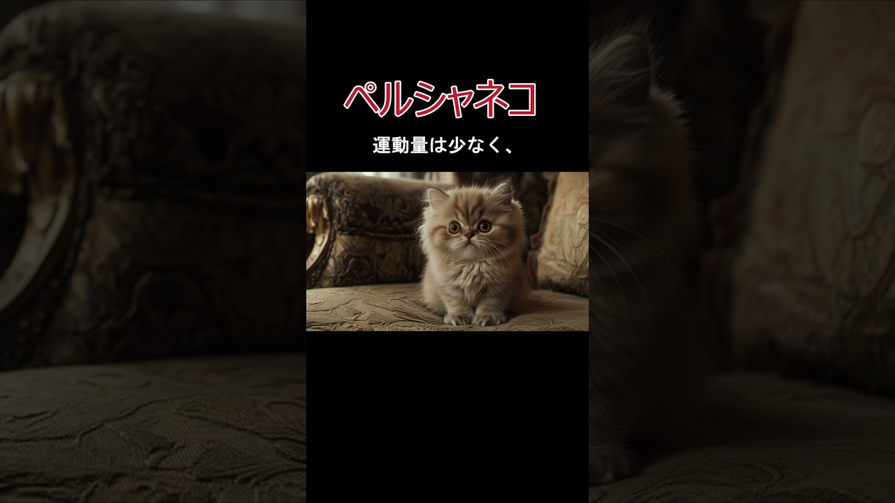 ネコの種類ペルシャ猫の紹介