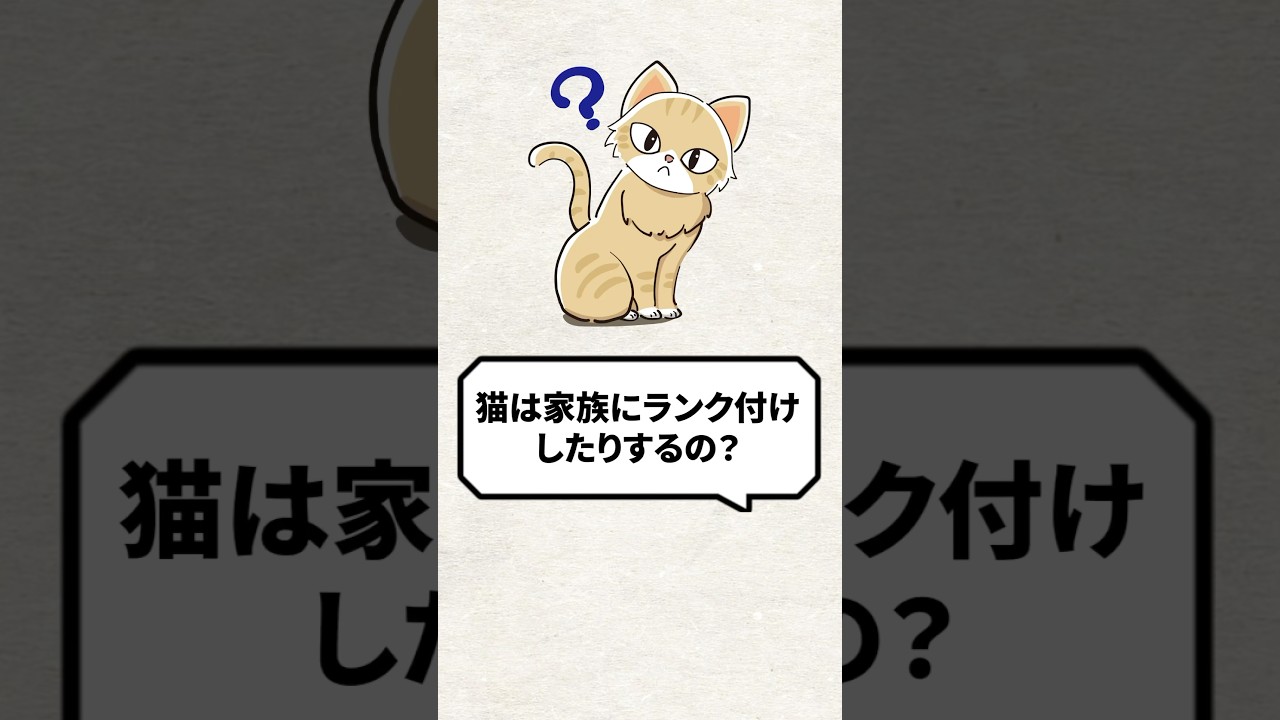 Q：猫は家族にランク付けするんですか？ #猫 #猫のいる暮らし #ねこ