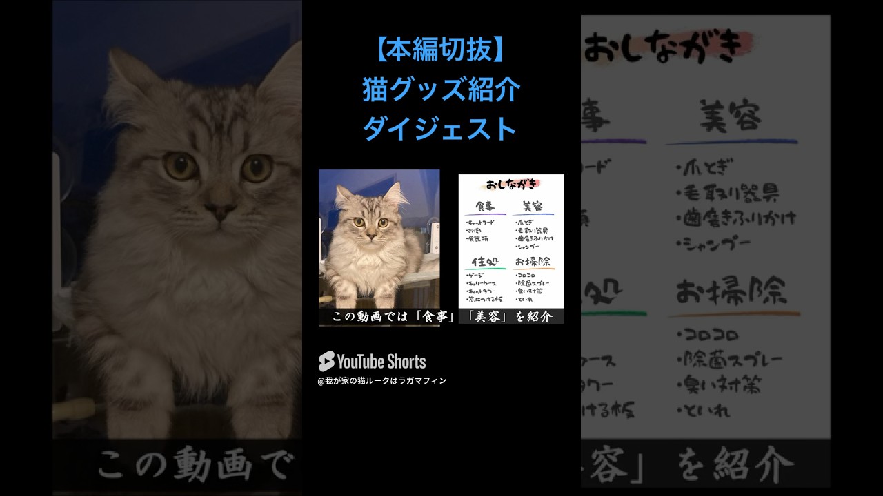 【本編切抜】グッズ紹介ダイジェスト #ラガマフィン #猫 #cat #catlover #猫グッズ
