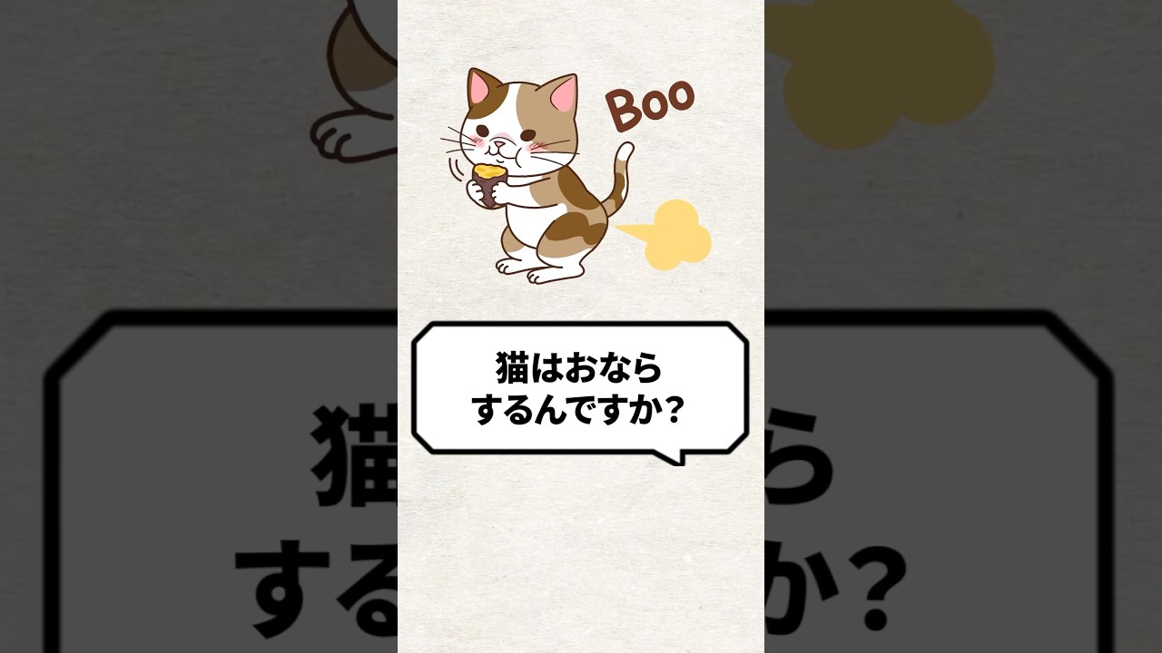 Q：猫はおならするんですか？ #猫 #猫のいる暮らし #ねこ