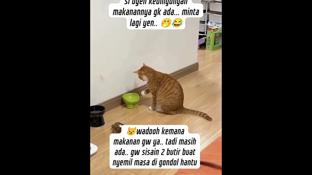 Ada yang tau ,Siapa yang makan ini#shorts