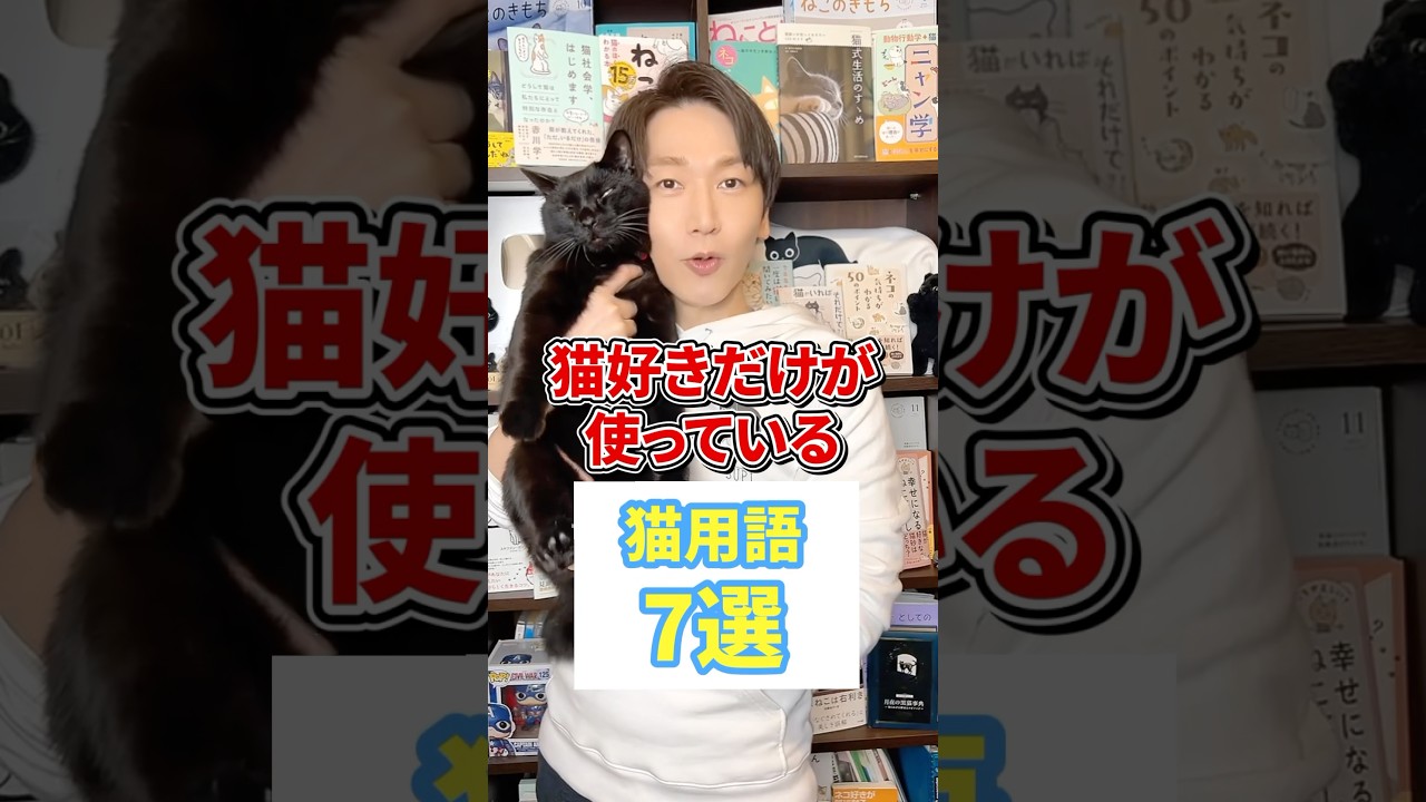 猫好きだけが使ってる猫用語7選 #猫 #猫好き #ねこ