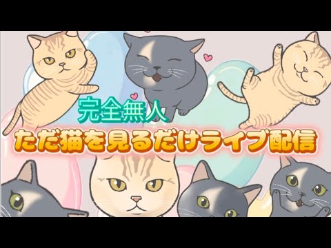 ただ猫見るだけ配信