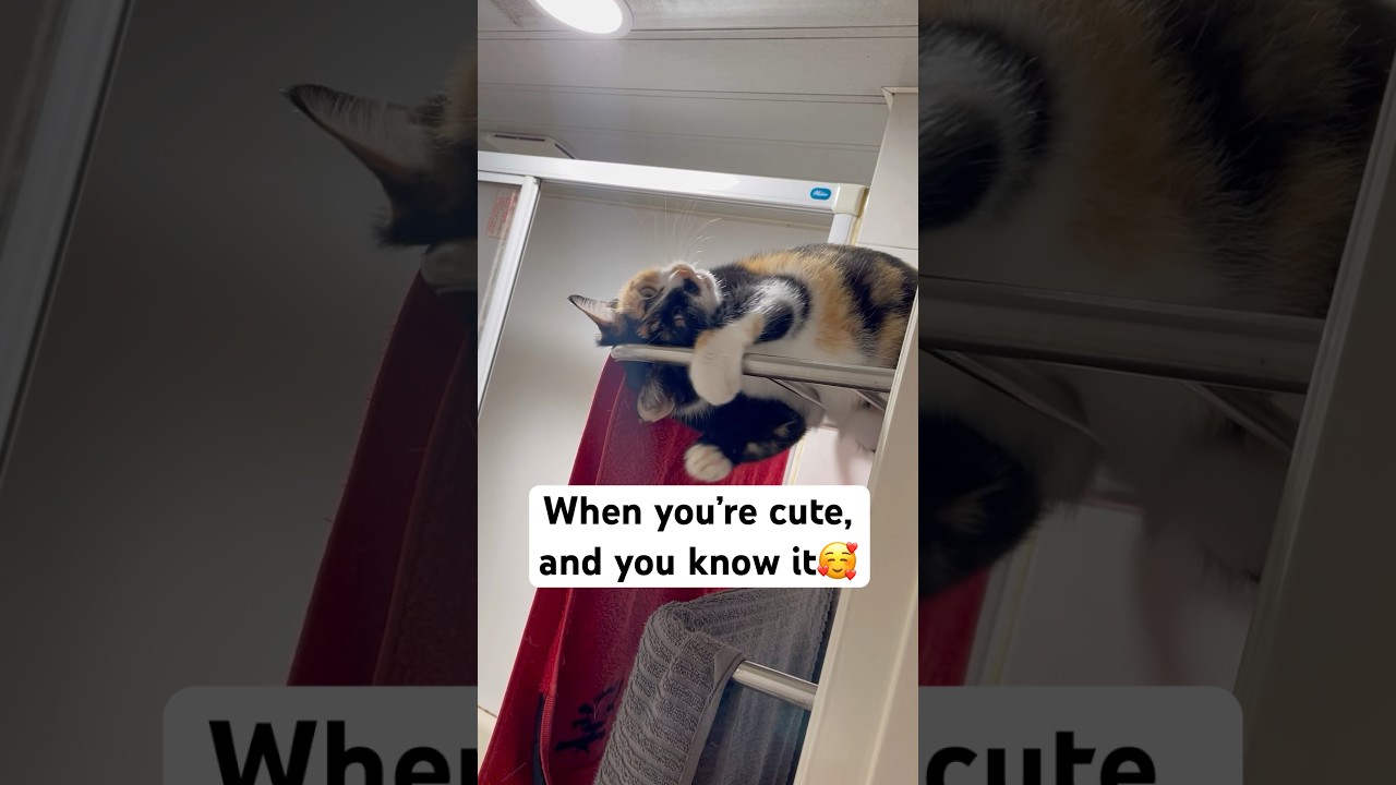 When you’re cute, and you know it😙