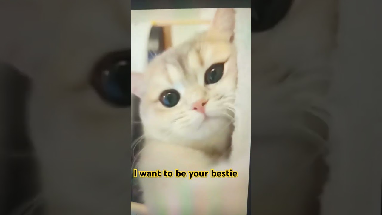 I wamt to become your bestie #trending #viralvideo #youtubeshorts