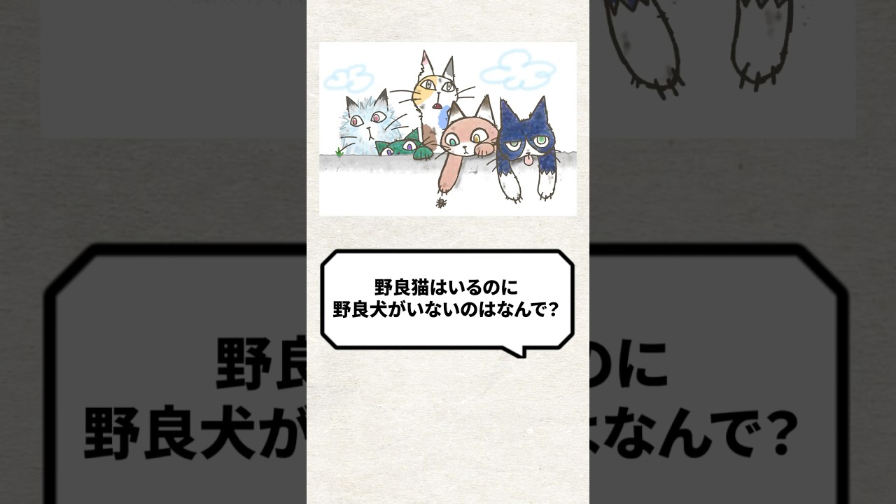Q：野良猫はいるのに野良犬がいないのはなんで？ #猫 #犬 #ねこ