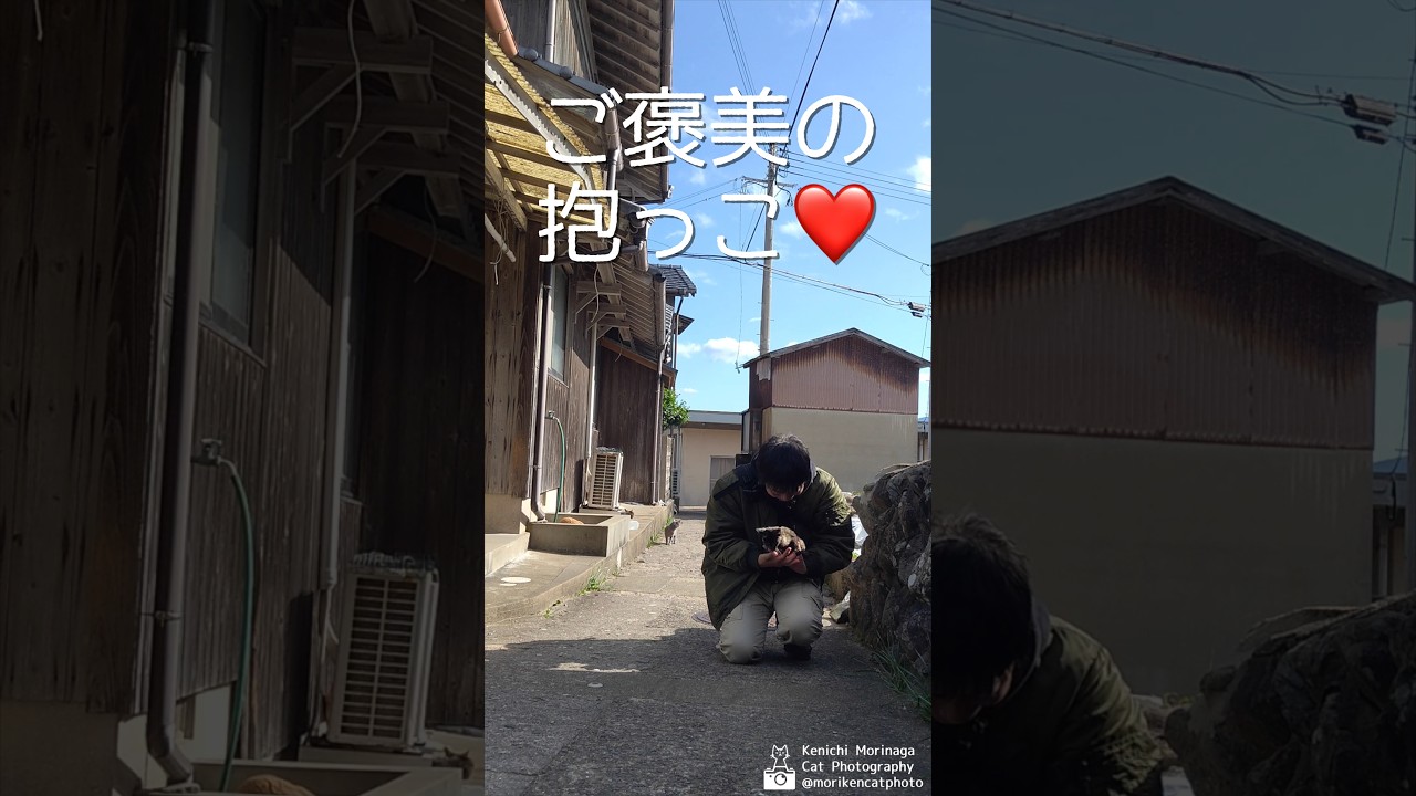 おじさまとサビ子 その7 #猫