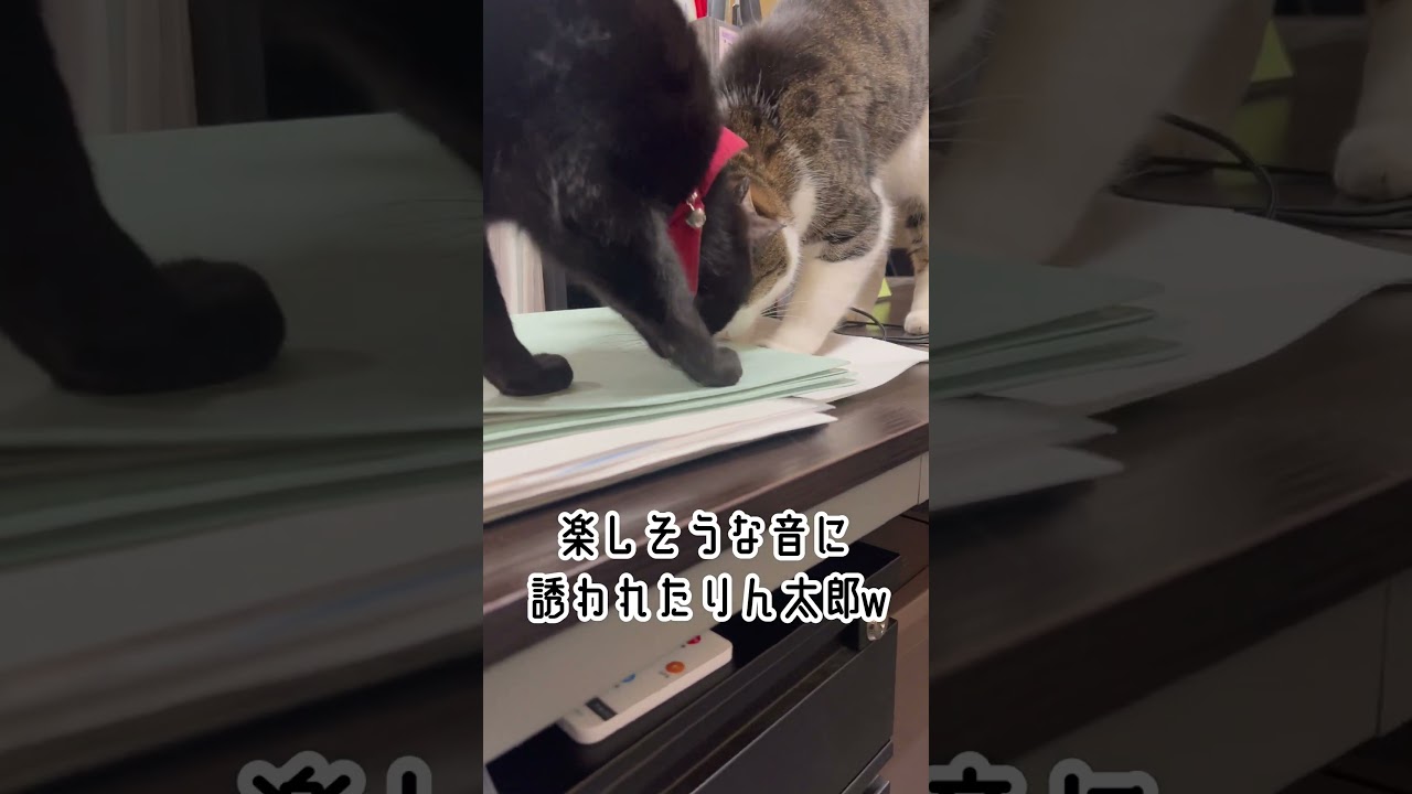 ホリホリ♪