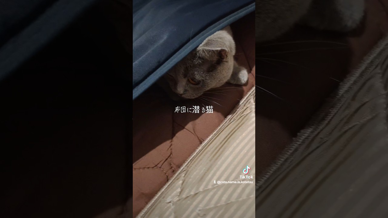 冬になったら気をつけよう(Be careful when winter comes)