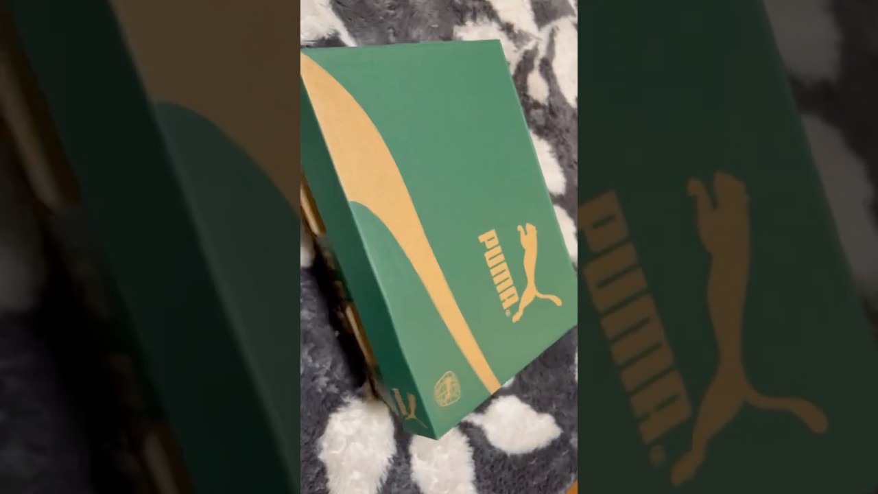 スニーカーの箱に入っちゃったネコ。ミルねーさんビックリ