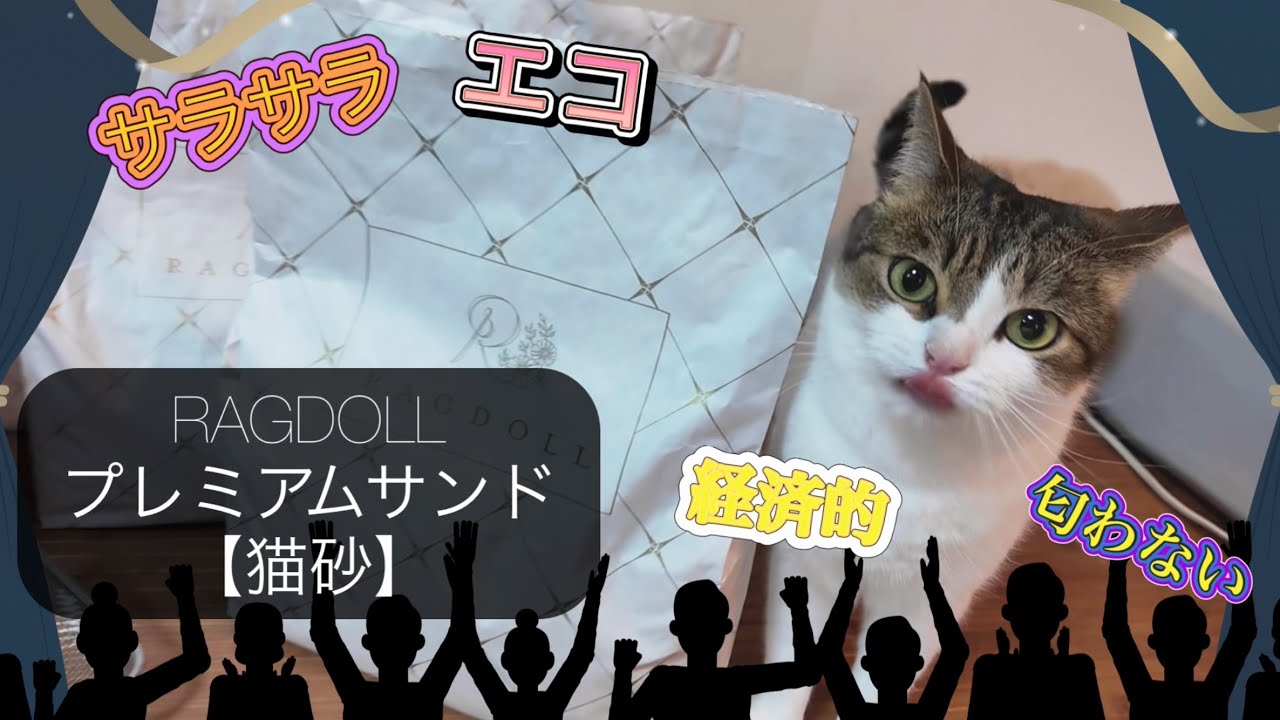 【✨RAGDOLLプレミアムサンド⭐️】エコで経済的‼️画期的な猫砂に出会った猫達🙀🙀