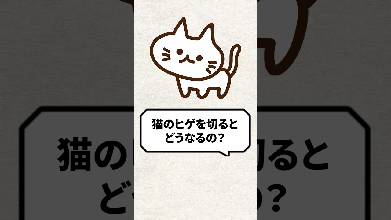Q：猫のヒゲを切るとどうなるの？ #猫 #猫のいる生活 #ねこ