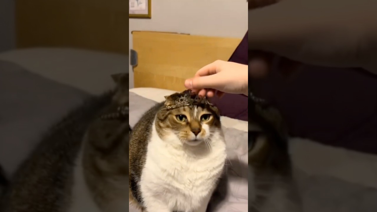 He wasn't ready for all the responsibility 😂