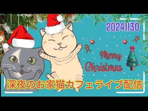 深夜のお家猫カフェライブ配信　245