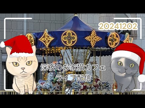 深夜のお家猫カフェライブ配信　247