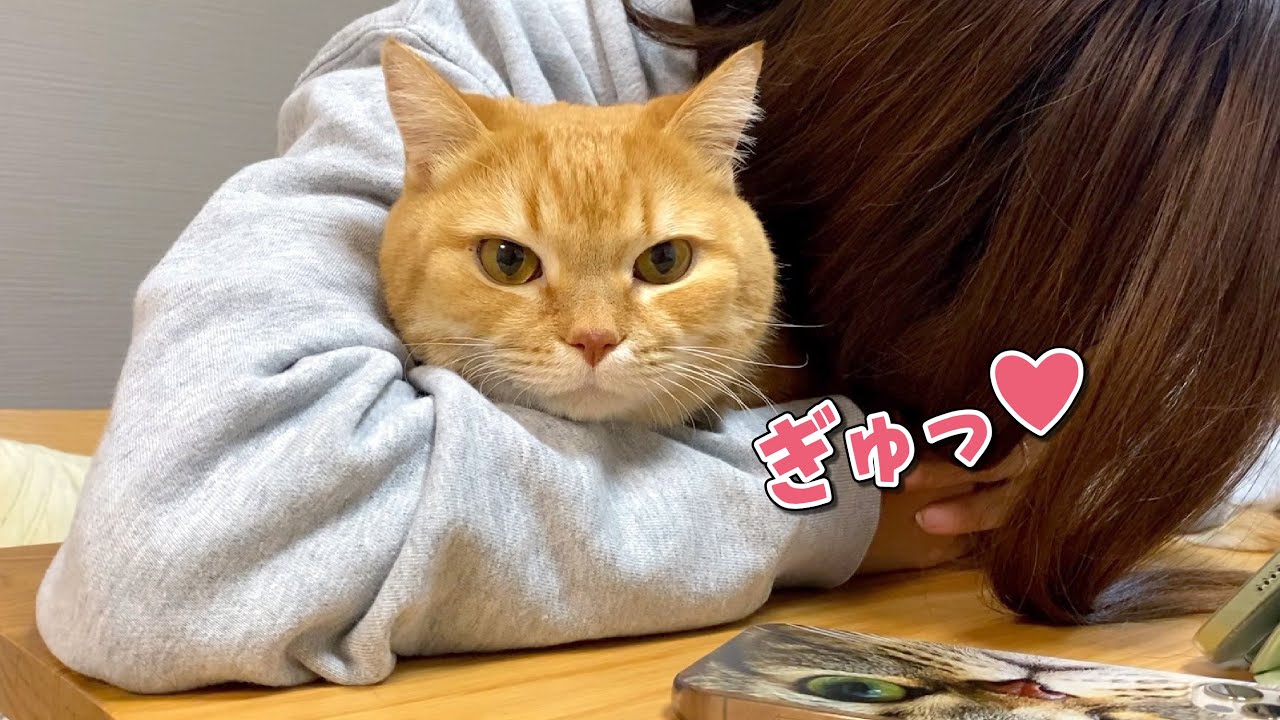 パパに盗撮された愛猫とママの絡みが可愛すぎた…！