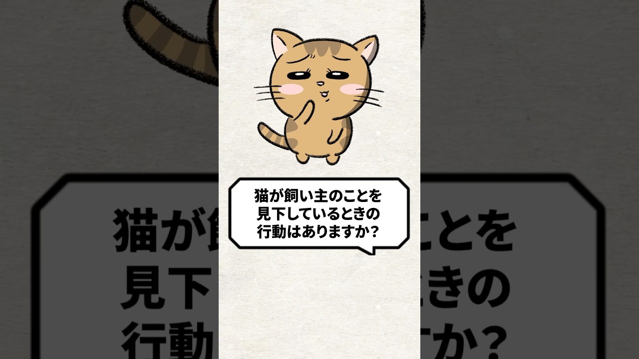 Q：猫が飼い主を見下している行動ってある？ #猫 #猫のいる暮らし #ねこ