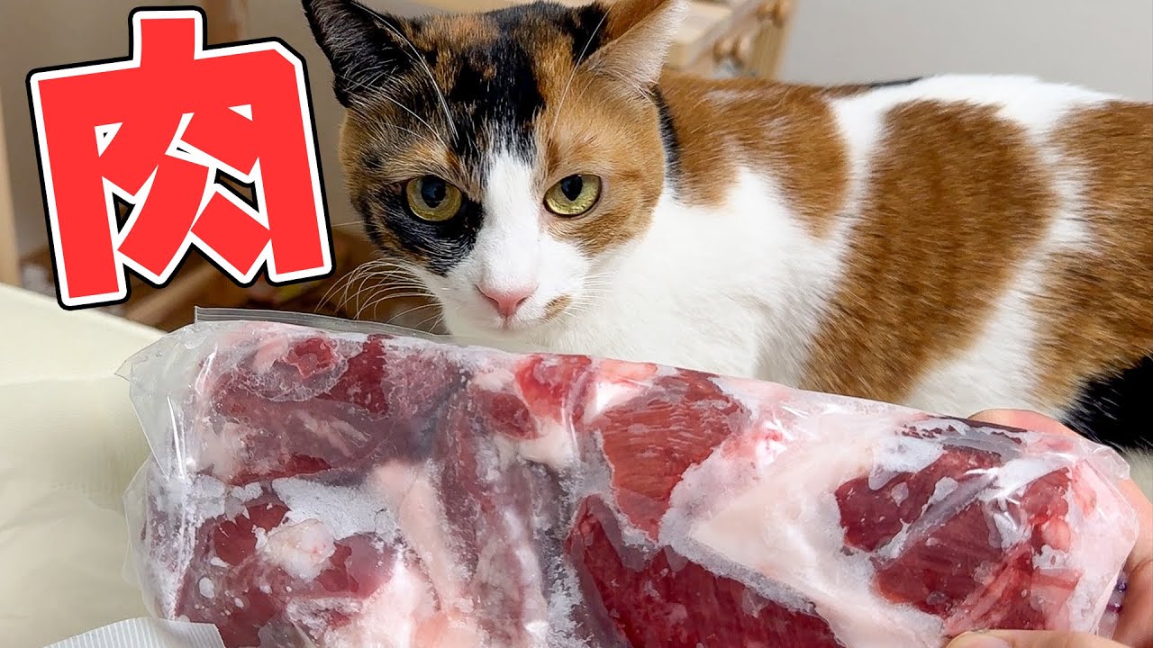 朝起きたら長野に住む妹から”謎の肉”が送られてきました…
