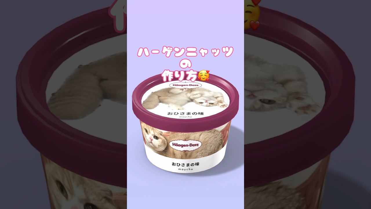 ハーゲンニャッツ#猫 #バズ#スコティッシュフォールド