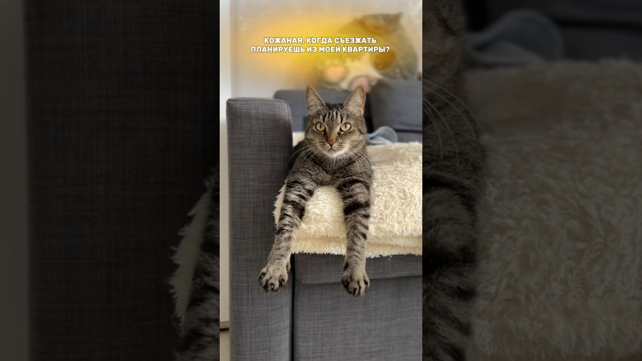 Такие дела 🤔