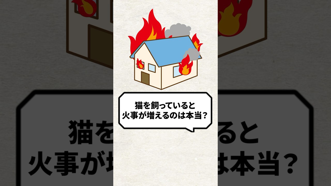 Q：猫を飼ってると火事が増えるって本当？ #猫 #猫のいる生活 #ねこ