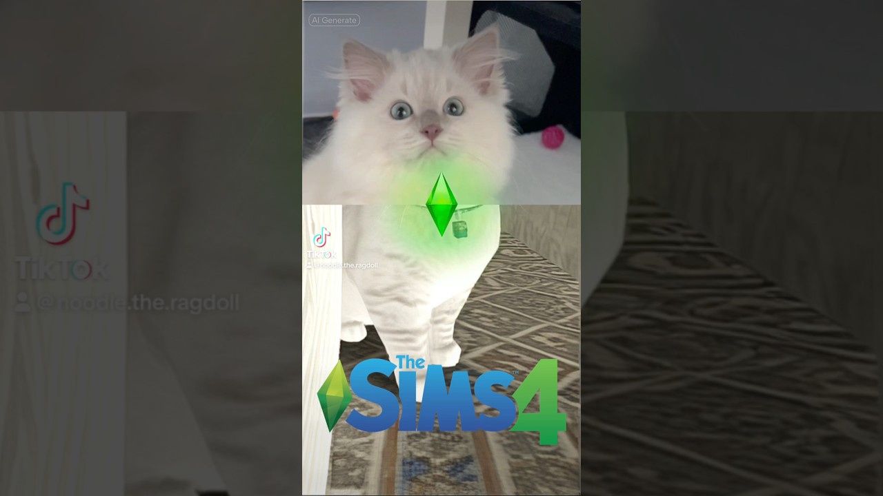 Wish I could transport him into my sims game #filter #ragdoll #cat #pet #noodle #cutecat #fluffycat