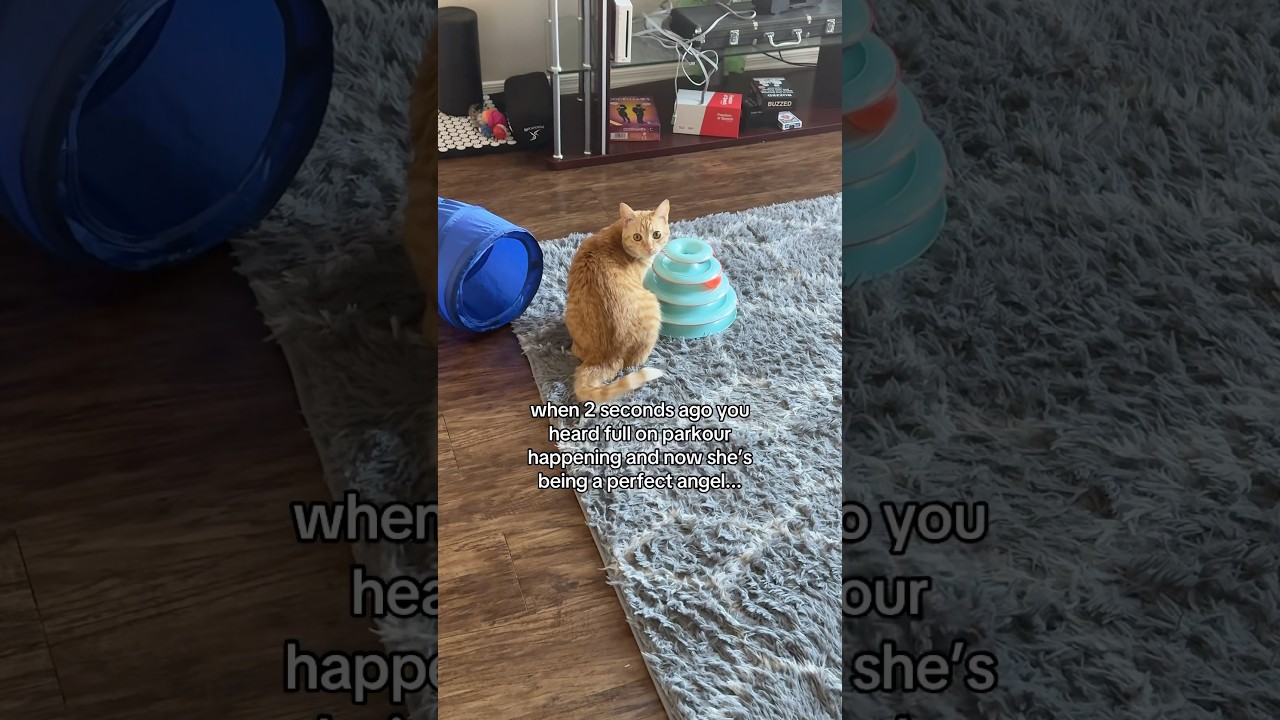 She can’t keep getting away with this!! #viral