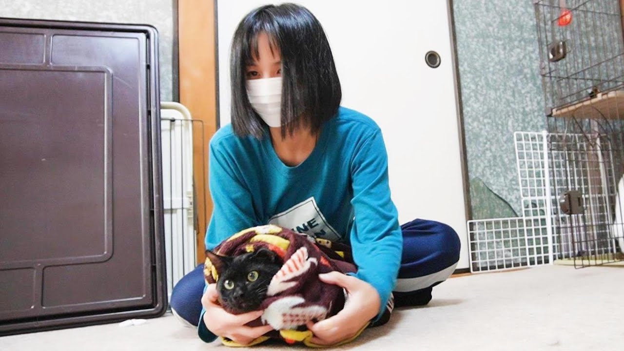 さりげなく噛んでくる子猫