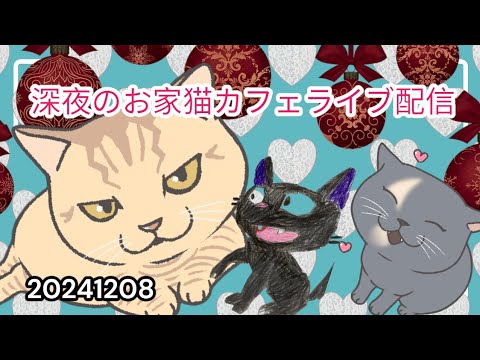 深夜のお家猫カフェライブ配信　253