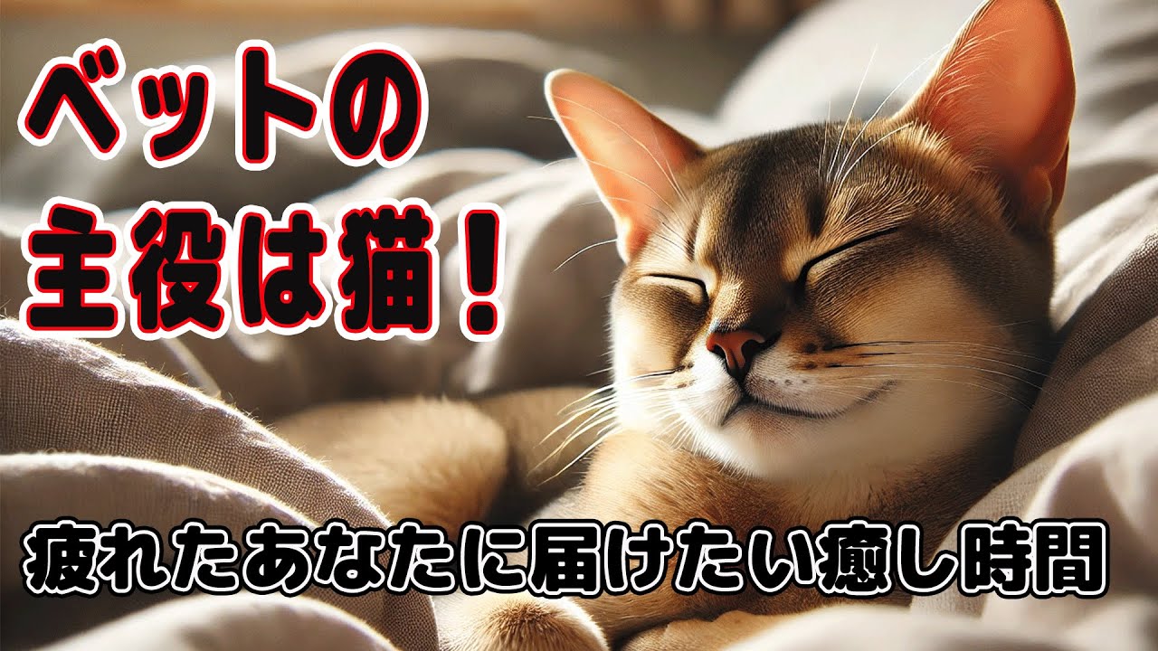 【シンガプーラ】こんな幸せそうな猫見たことある？疲れたあなたに届けたい…癒しの時間！#癒し動画 #リラックス猫 #catsofyoutube #catlovers #cat #シンガプーラ