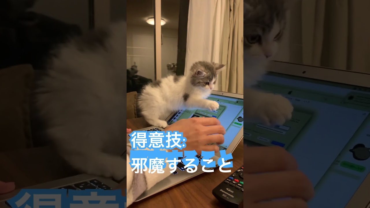 いつもこうなります🥲