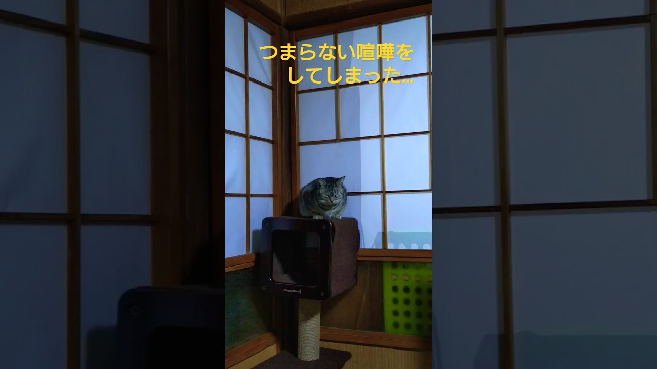 【深夜サービス夜襲動画】　給餌と給餌助手の喧嘩が勃発しモモンガ家出する動画（以後配信未定）