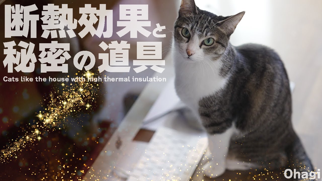 断熱効果と猫の秘密の道具