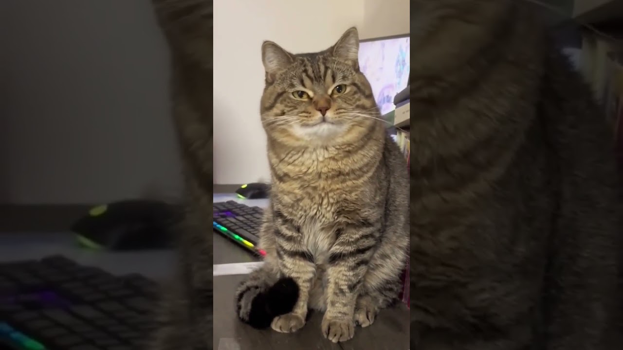 When l am asked to smile 😏