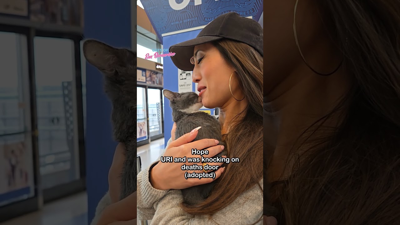 Happy Giving Tuesday, Everyone!