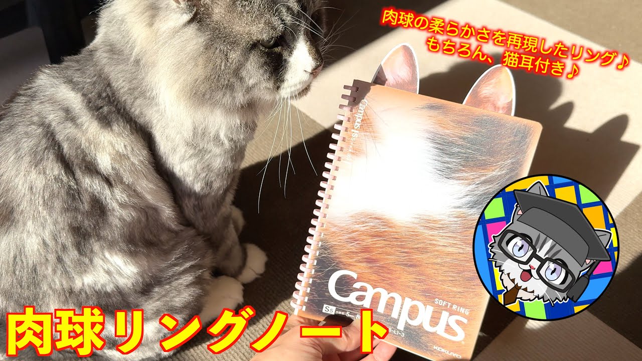 【肉球リングノート】猫好き必携！ノートもやっぱり、猫仕様がいいね♪〜コペ様ワクチン接種にゆく