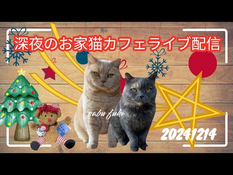 深夜のお家猫カフェライブ配信259