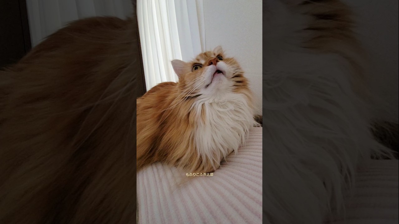 迷信は信じませんが…