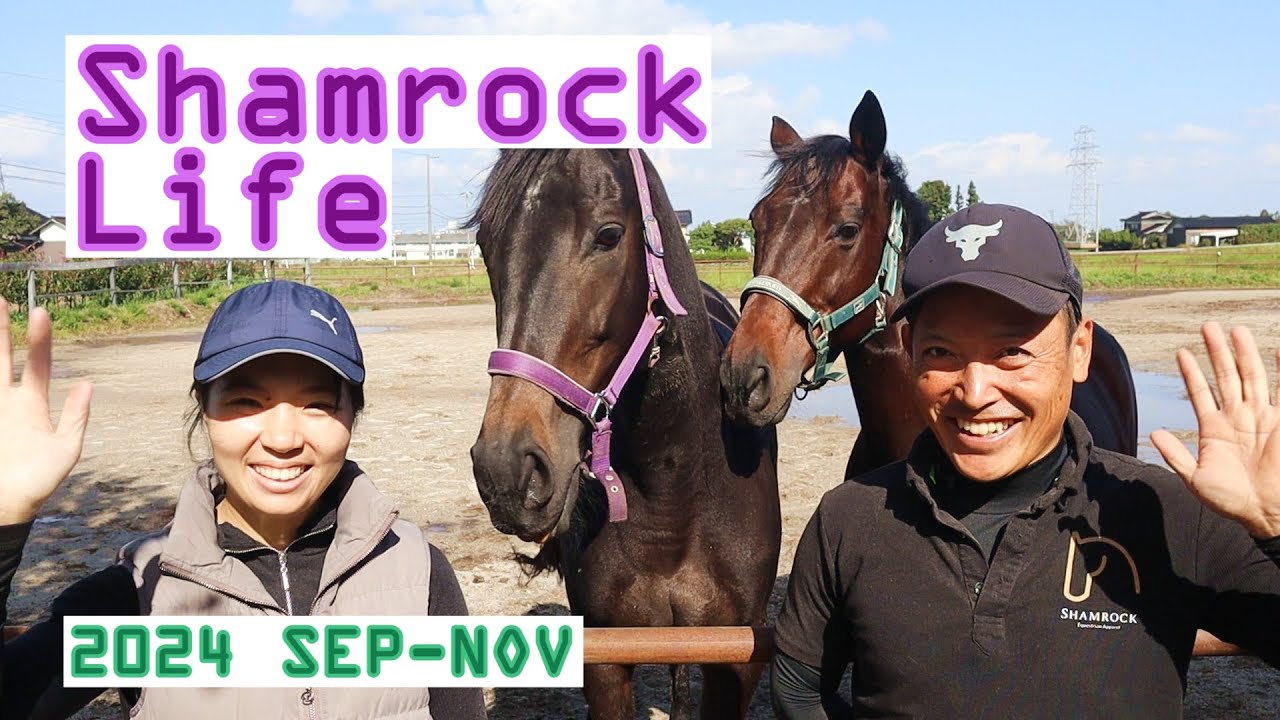 友達の友達から攻めるのが正解/9-11月のVlog