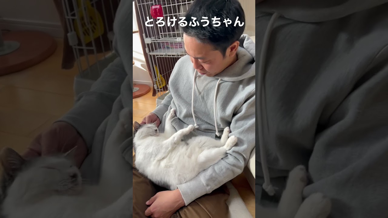 とろけるふうちゃん
