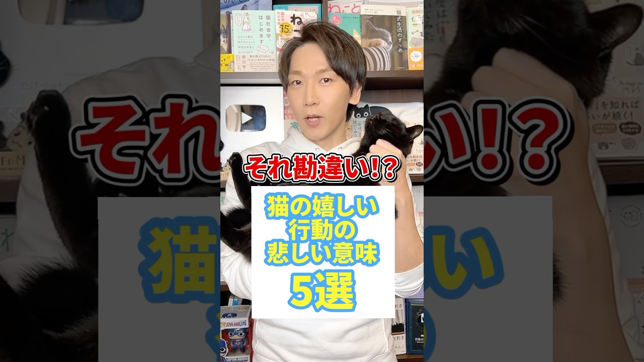 それ勘違い！？猫の嬉しい行動の悲しい意味5選 #猫 #猫のいる暮らし #ねこ