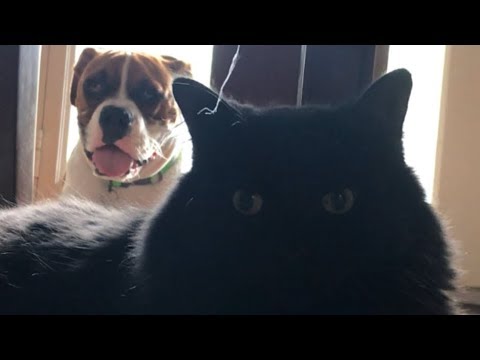 Samson & Leroy