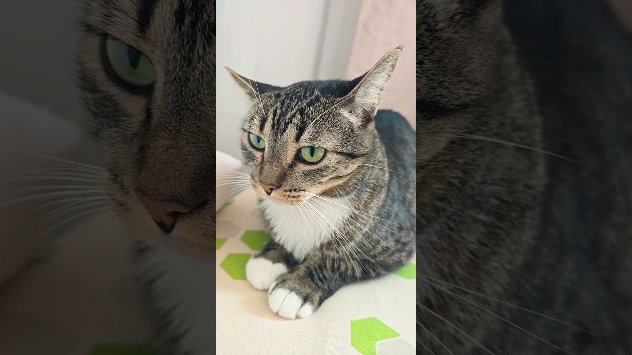 16 de dezembro de 2024