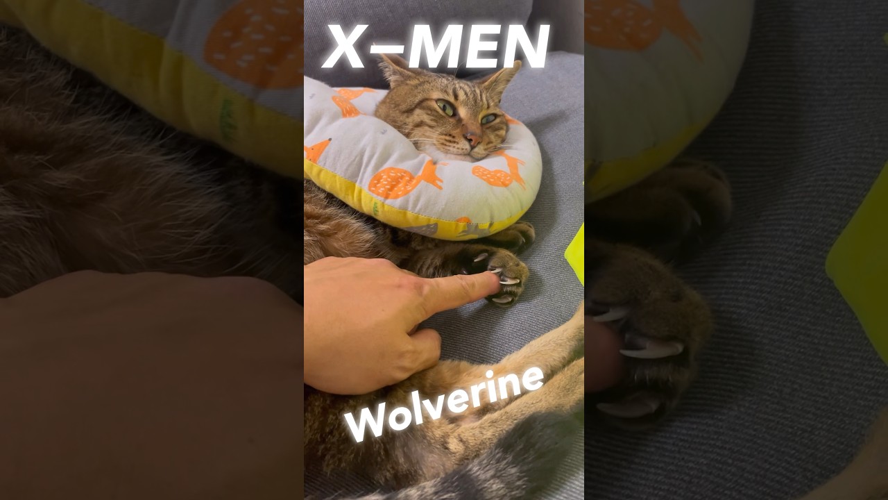 X−MEN（wolverine）ウルヴァリン