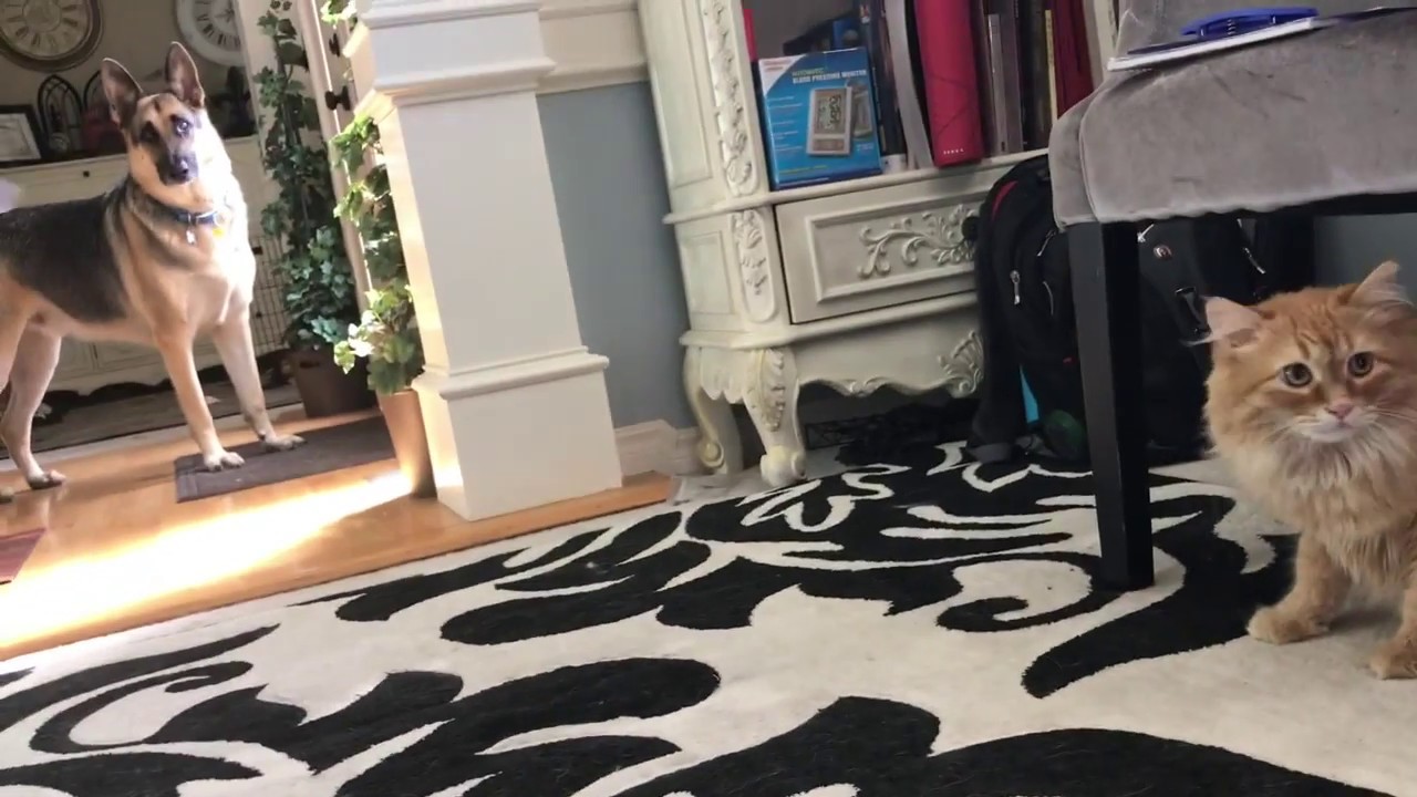 Odin Leroy Winston