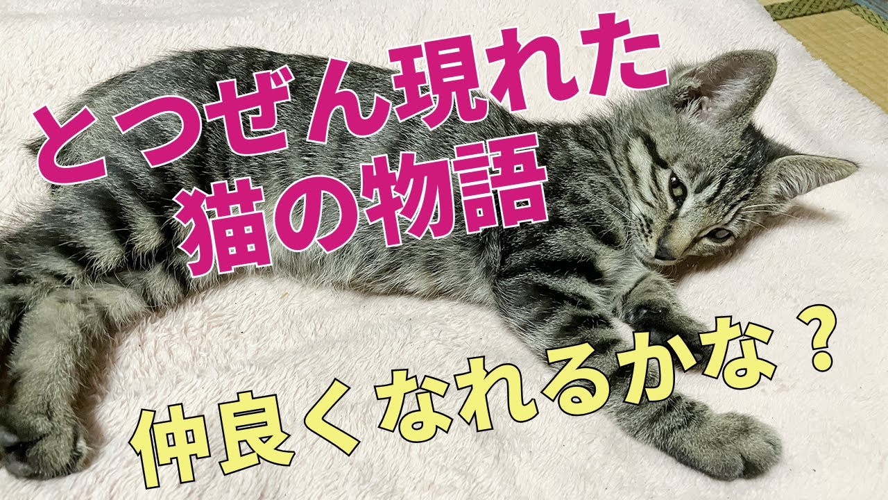 仲良くなれるかな？〈story10〉